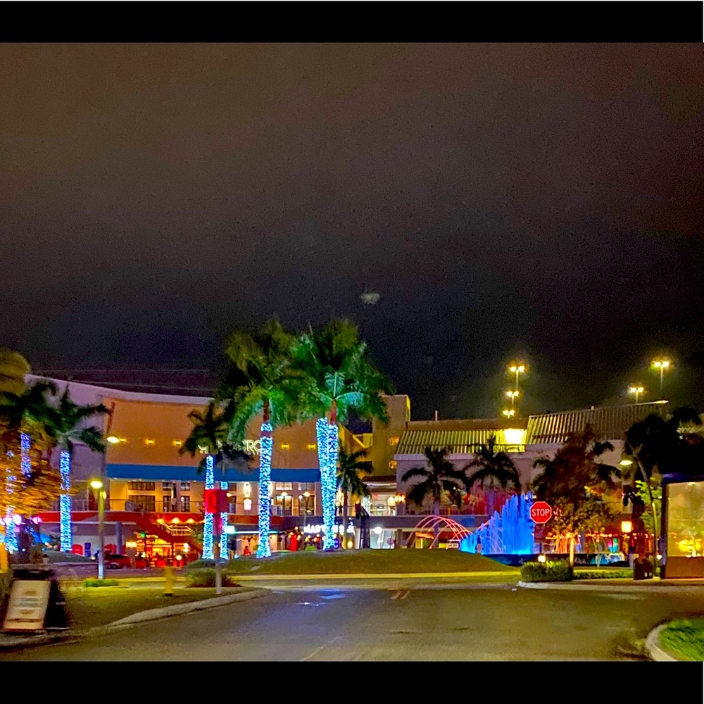 Meet your Posher, Sophia